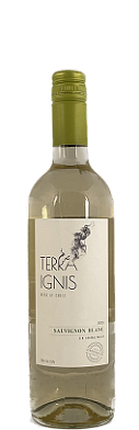 Вино Терра Игнис Совиньон Блан